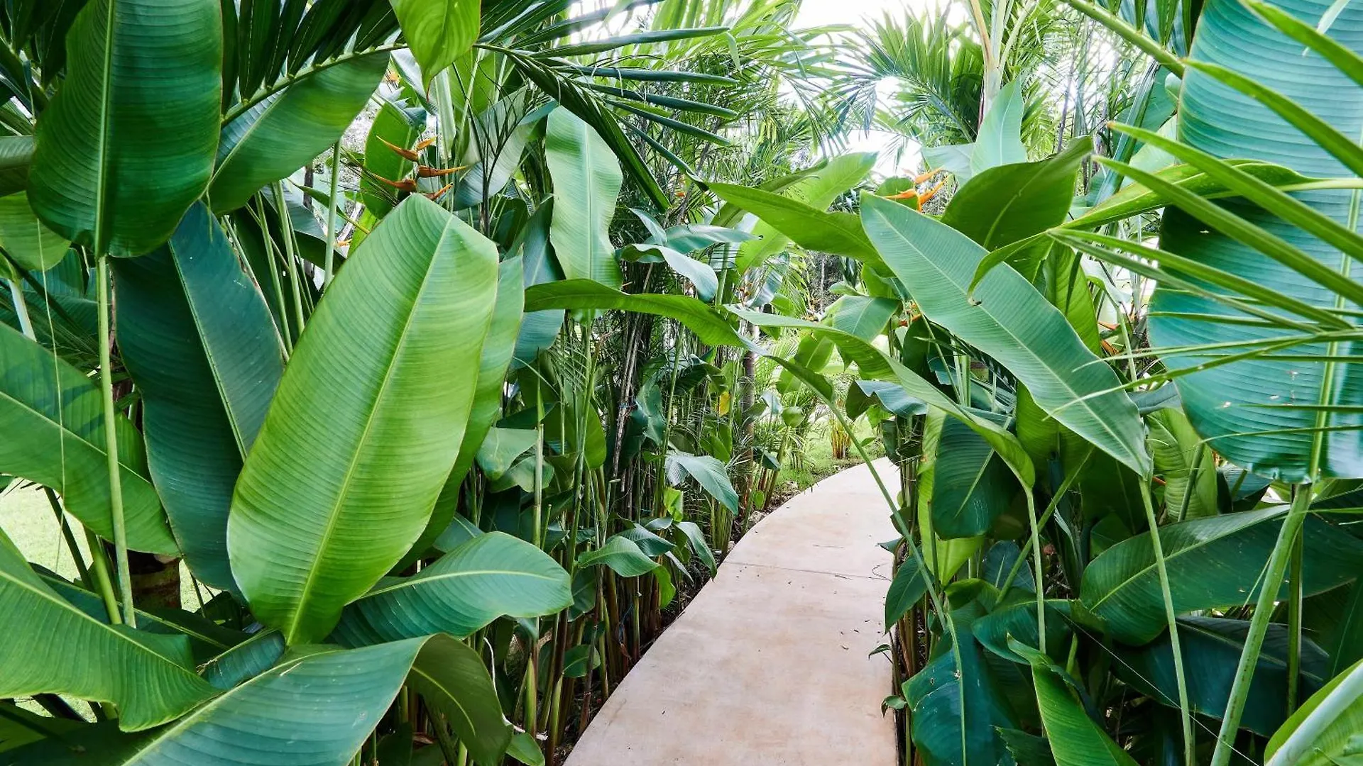 Villa Tortuga Lux 4 Bdr Big Garden*Pool *Cenote Tulum